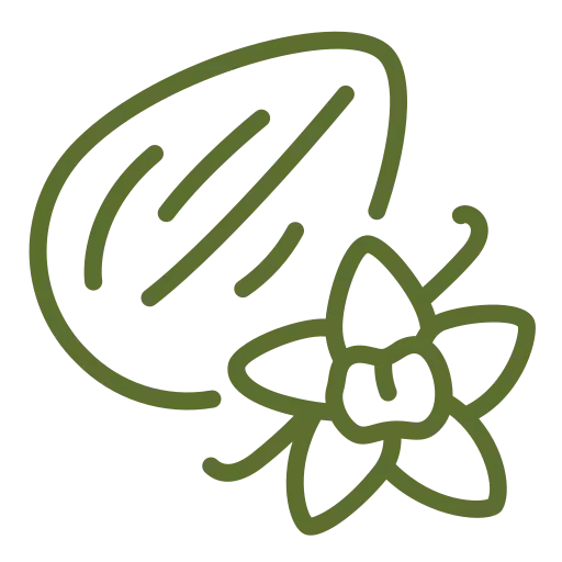Shuchee Corporation Offer Freshness and Flavor Dry fruits